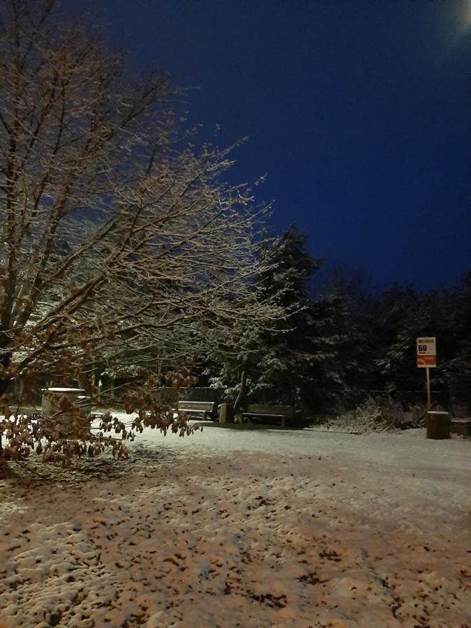 Jagiellonska 42 Przymorze Daire Gdansk Dış mekan fotoğraf